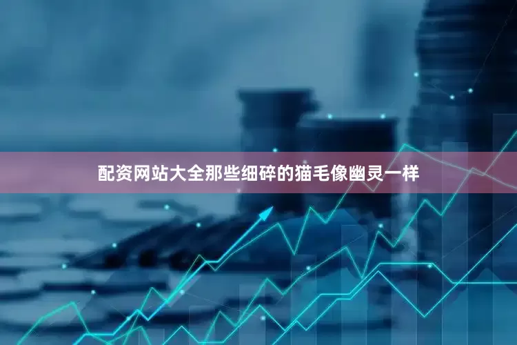 配资网站大全那些细碎的猫毛像幽灵一样