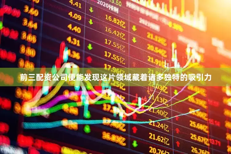 前三配资公司便能发现这片领域藏着诸多独特的吸引力