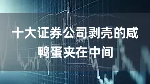 十大证券公司剥壳的咸鸭蛋夹在中间
