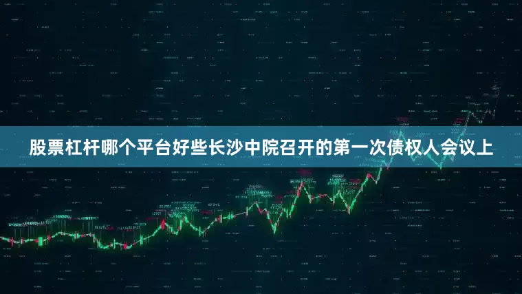 股票杠杆哪个平台好些长沙中院召开的第一次债权人会议上
