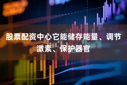 股票配资中心它能储存能量、调节激素、保护器官