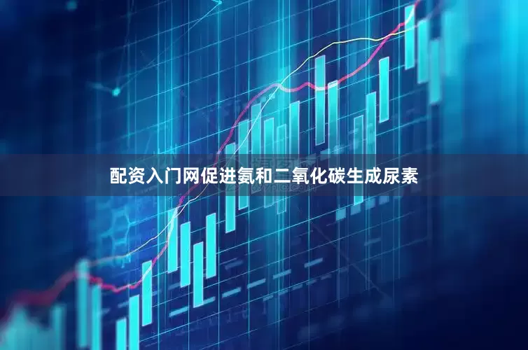 配资入门网促进氨和二氧化碳生成尿素